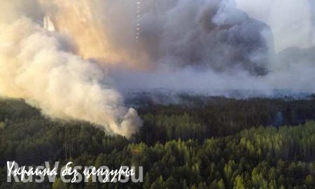 ГСЧС Украины: Торфяные пожары охватили площадь в 112 гектаров