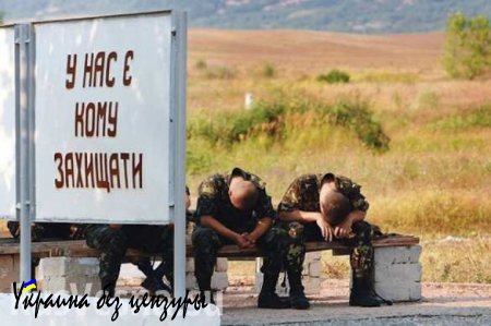 Солдат ВСУ откровенно рассказал о пьянстве в украинской армии (ФОТО)