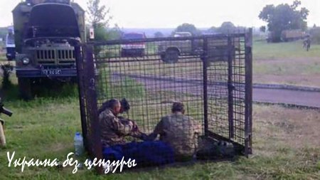 Солдат ВСУ откровенно рассказал о пьянстве в украинской армии (ФОТО)