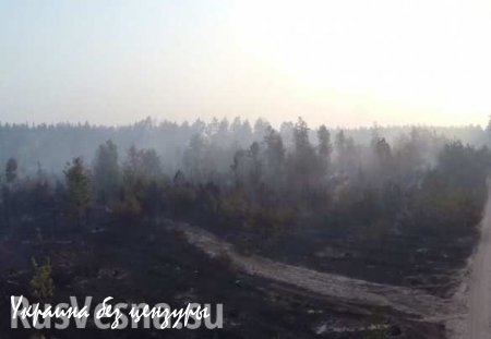 Последствия масштабного пожара в лесу под Киевом (ВИДЕО С БЕСПИЛОТНИКА)