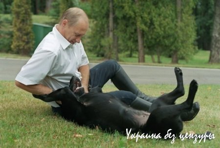 Путин с котом стал хитом рунета