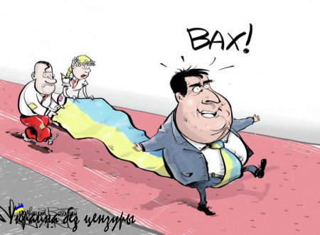 «Саакашвили спит и видит себя премьер-министром Украины»