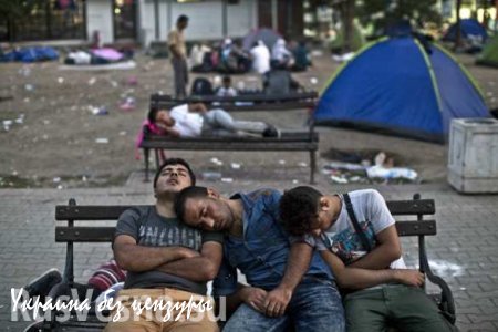 ЕС проведет экстренное совещание по ситуации с мигрантами в Венгрии