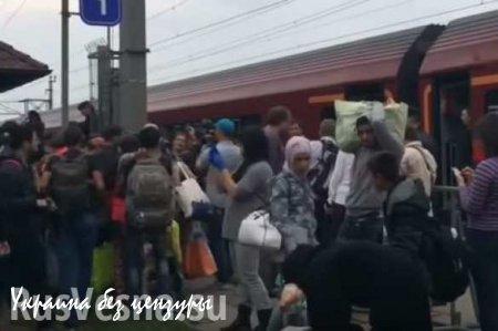 Нашествие мигрантов в Европу — самые свежие кадры с австро-венгерской границы (ВИДЕО)