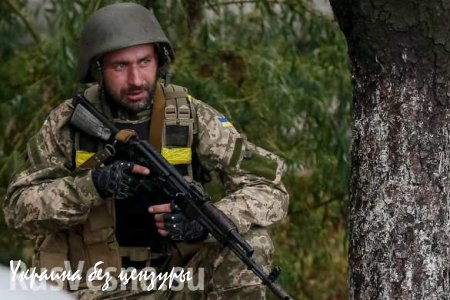 ВСУ за сутки четыре раза нарушили режим прекращения огня в ЛНР, — Народная милиция
