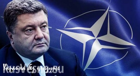 Порошенко: Украину в НАТО пока не ждут
