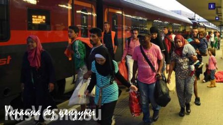 Беженцы отправляются из Вены в Мюнхен — прямая трансляция. Смотрите и комментируйте с «Русской Весной»
