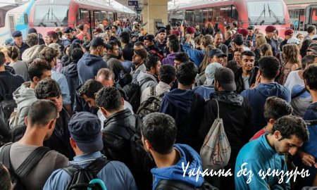 В Германию за сутки прибыли тысячи мигрантов