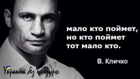 Каждая кухарка в Украине – политолог