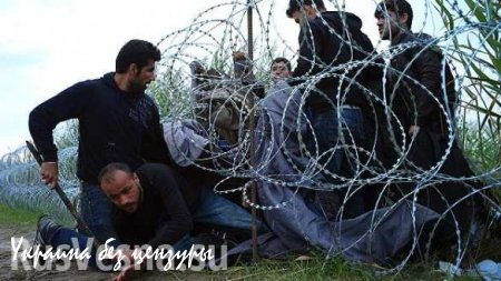 Премьер Венгрии отказался считать мигрантов беженцами