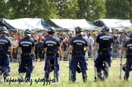 Полиция в Венгрии применила газ против мигрантов