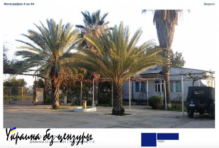 Российские войска в Сирии: правда и вымысел (ФОТО+ВИДЕО)