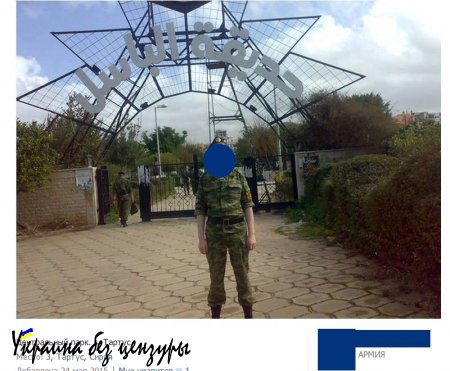 Российские войска в Сирии: правда и вымысел (ФОТО+ВИДЕО)