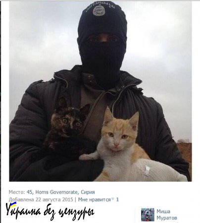 Российские войска в Сирии: правда и вымысел (ФОТО+ВИДЕО)