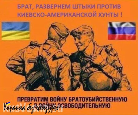 Допрос украинских военных, перешедших границу с водкой, салом и арбузами (ВИДЕО)