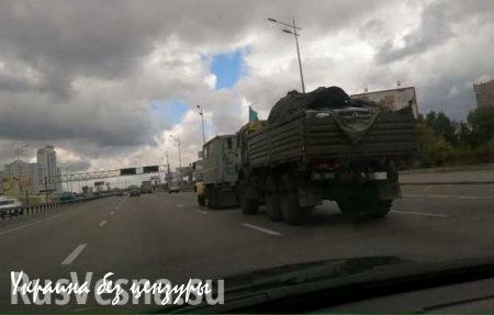 Из зоны «АТО» в Киев военнослужащие вывозят отнятые у мирных граждан автомобили (ФОТОФАКТ)
