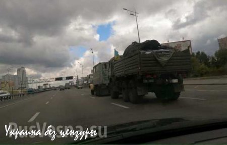 Из зоны «АТО» в Киев военнослужащие вывозят отнятые у мирных граждан автомобили (ФОТОФАКТ)