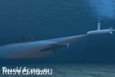 СМИ США: в России создается «подводный беспилотник», способный нести ядерное оружие