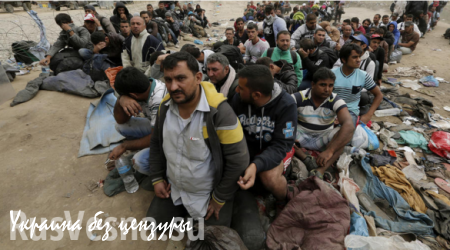 ООН: Число беженцев во всём мире приближается к отметке в 20 млн человек