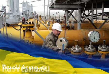 Яценюк: Украина хочет примкнуть к газовой системе Восточной Европы