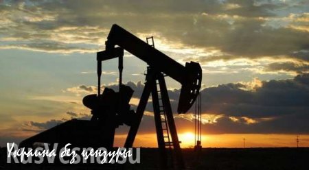 Цены на нефть снижаются на опасениях роста запасов в США