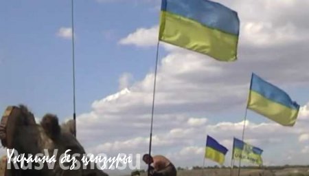 Украинские «рыцари»: военнослужащий ВСУ обещает привезти жене «воротник из молодого сепара» (ВИДЕО)