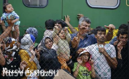 Миграционный кризис: Устоит ли Европа? (ВИДЕО)