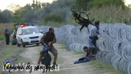 Военные учения по охране южных границ от наплыва мигрантов начались в Венгрии
