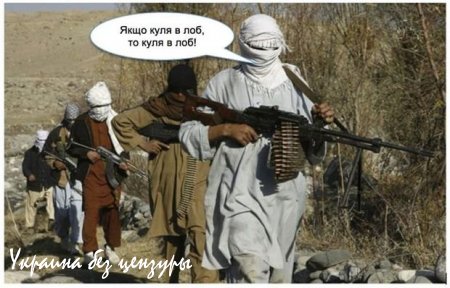 Записки Колорадского Таракана. Эх, Киев, куда летишь?