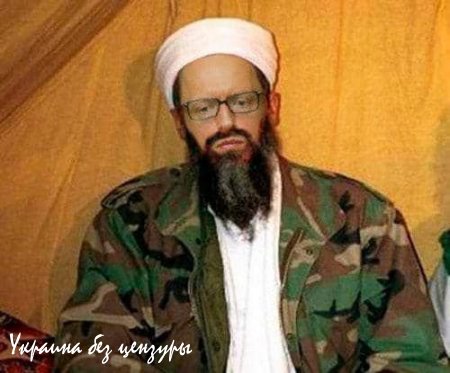 Записки Колорадского Таракана. Эх, Киев, куда летишь?