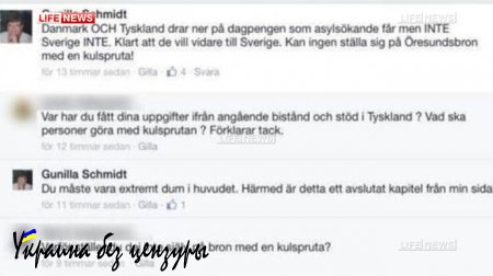 Шведский политик предложила расстреливать беженцев из пулемета (ФОТО)