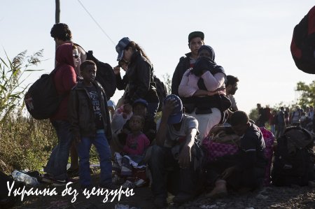 Окно в Европу: что сейчас происходит в лагере беженцев в Венгрии (ФОТОРЕПОРТАЖ)