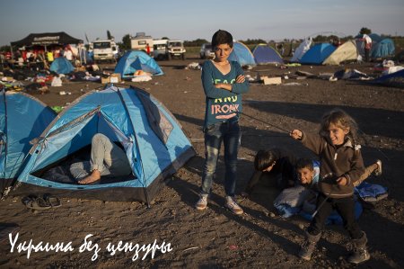 Окно в Европу: что сейчас происходит в лагере беженцев в Венгрии (ФОТОРЕПОРТАЖ)