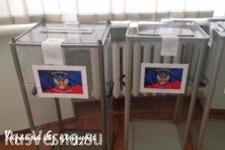 ЦИК ДНР ожидает указа главы республики о назначении даты выборов