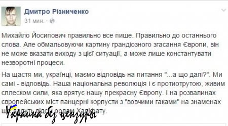 Киевские батальоны собрались дать отпор «ордам Халифата» в Европе