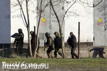 В ЛНР ликвидировано несколько украинских разведгрупп, — МГБ Республики (ВИДЕО)