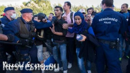 Большая толпа беженцев вновь прорвала цепь полиции на границе Венгрии