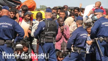 Толпы мигрантов на сербско-венгерской границе (ВИДЕО)