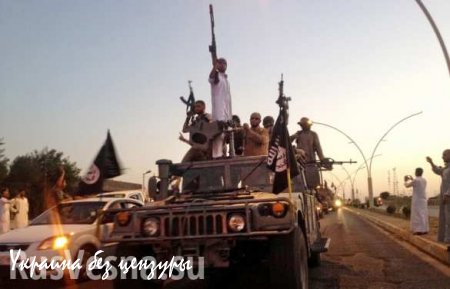 «ИГИЛ» начало торговлю человеческими органами во дворце экс-президента Саддама Хусейна, — СМИ