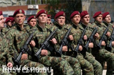 Сербия может послать армию на границу с Венгрией
