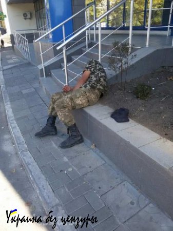 Пьяные военнослужащие ВСУ в Николаеве спят посреди улицы (ФОТОФАКТ)