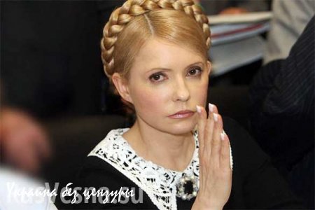 Тимошенко требует отставки украинского правительства