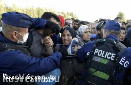 Венгерская полиция начала задерживать мигрантов на границе с Сербией
