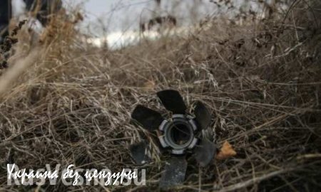 За сутки спасатели МЧС ДНР обезвредили 30 взрывоопасных предметов