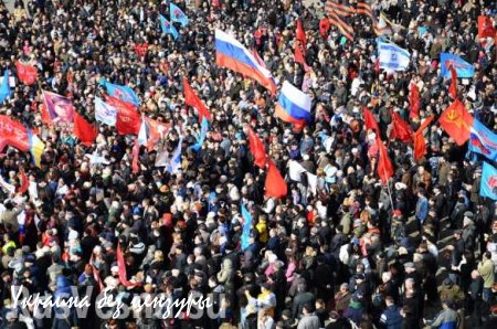 Каким бы вы хотели видеть будущее Донбасса? — опрос «Русской Весны»