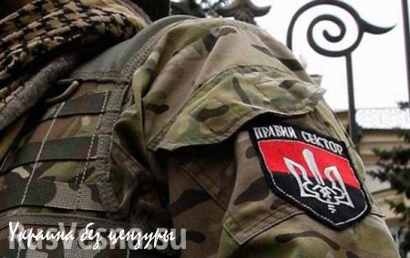 Боевики «Правого сектора», устроившие бойню в Мукачево, погибли в ДТП, — Москаль