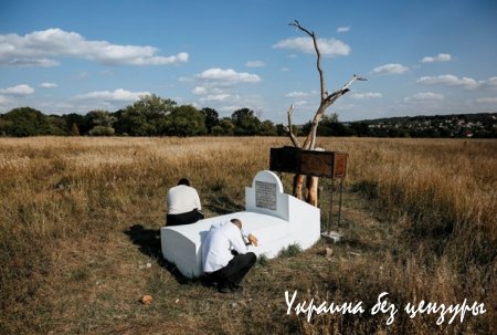 Столб позора во Львове и мега-бюст украинки: фото дня