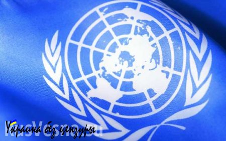 Прямая онлайн трансляция 70-ой сессии Генеральной Ассамблеи ООН — смотрите и комментируйте с «Русской Весной»