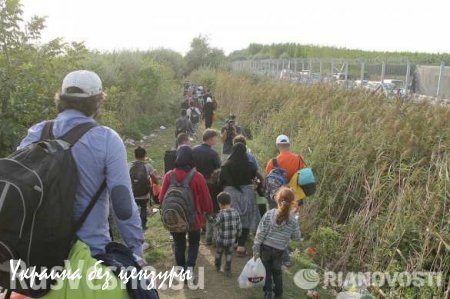 Сирийцы могут перекрыть Украине путь в Европу