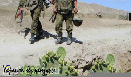 Командир таджикского спецназа «Альфа» погиб в бою с мятежниками